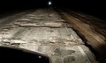 7 причин отказаться от поездок на авто»
